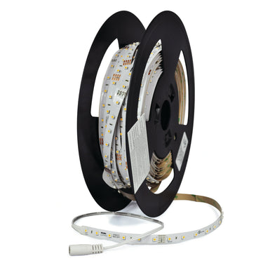 Nora Standard 24V Continuous LED Tape Light, 80lm/1.5W per ft, 90+ CRI product photo
