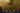 Penta Narciso pendant light in matt gold