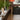 Oluce Dora floor lamp in a living room, lifestyle view