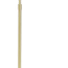House of Troy Home/Office Satin Brass Floor Lamps