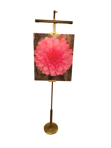 House of Troy River North Easel floor lamp antique brass and satin brass accents LED slimline shade