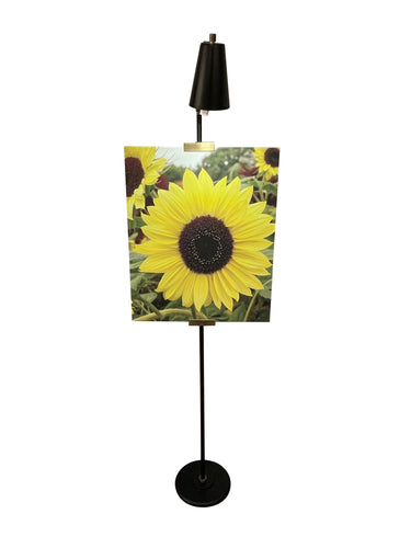 House of Troy River North Easel floor lamp black and antique brass accents spot light shade