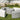 La Fete Design Furniture The Ring 5 Piece Set at MetropolitanDecor.com