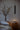 Roest pendant hanging beside a bed as a bedside light, Graypants lifestyle photo