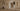 Two Contour wall lights either side of an arched opening in a living room