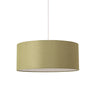 Nova Stretch Pendant in Avocado shade, Satin Nickel body, photo 1