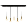 Koncept Combi Pendant 6" Linear 5 Combo Brass Matte Black Canopy Glass Ball Attachment Suspension Flush Mount 2-in-1