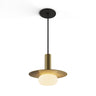 Koncept Combi Pendant 6" Brass Matte Black Canopy 9" Metal Plate Brass Attachment Glass Ball Attachment Suspension Flush Mount 2-in-1