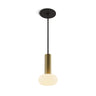 Koncept Combi Pendant 6" Brass Matte Black Canopy Glass Ball Attachment Suspension Flush Mount 2-in-1