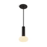 Koncept Combi Pendant 6" Matte Black Matte Black Canopy Glass Ball Attachment Suspension Flush Mount 2-in-1