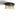 Koncept Combi Pendant 6" Circular 6 Combo Brass Matte Black Canopy Glass Ball Attachment Suspension Flush Mount 2-in-1