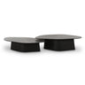 TOV Roche 2-Piece Ash Nesting Coffee Table Set, Black option, image 1
