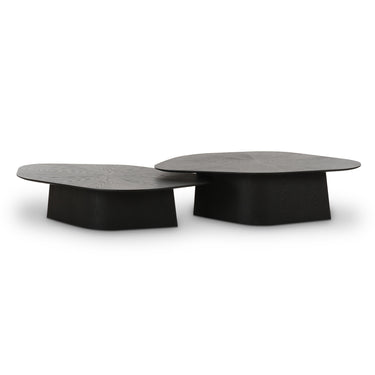 TOV Roche 2-Piece Ash Nesting Coffee Table Set, Black option, image 1