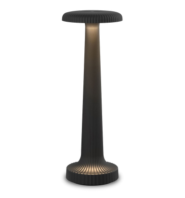 Tall Poppy Cordless Table Lamp by Neoz