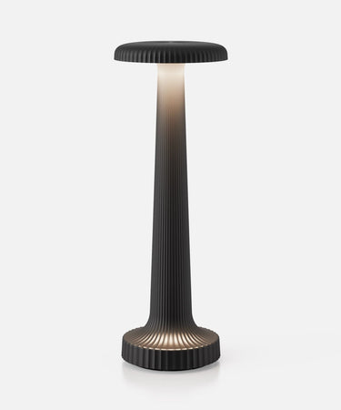 Tall Poppy rechargeable lamp by NEOZ – Satin Black