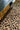 Leo wool rug, close-up detail