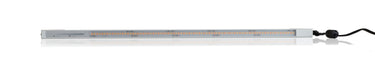 Koncept UCX Pro Under Cabinet Light For 19" Silver Pack with Luminaire Adapter