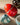 Ladenac Bois de Russie 450 g egg – red egg styled beside a turquoise egg