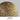 Gold Leaf (.29) – Moonlight by Egoluce, finish close-up