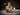 Le Klint Spot Wall/Table Lamp, interior view 7
