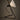 Le Klint Spot Wall/Table Lamp, interior view 4