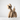 Boyhood Ballon d’Og Oak Object – Large, Boyhood Denmark