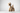 Boyhood Ballon d’Og Oak Object – Large, Boyhood Denmark