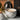 Ladenac Bois de Russie 450 g egg – White Silver Stripes egg opened beside its gift box