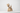 Boyhood Ballon d’Og Oak Object – Small, Boyhood Denmark