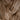 Brown floor lamp, interior view | The Bride by Mammalampa (2)