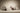 Newilla by Innovation Living studio image 3