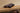 Hippo Rattle by Eguchi Toys, close-up of the walnut grain