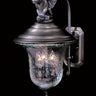 Framburg Carcassonne 3 - Light Iron Exterior Wall Mount 8505 IRON