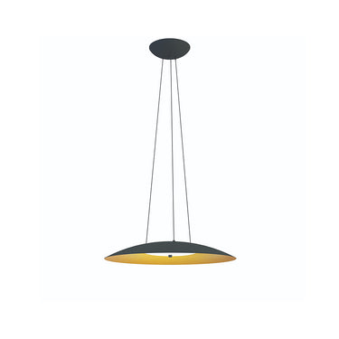 Aero LED Globe Pendant Light for Residential and Commercial Spaces Black/Gold
