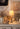 Compact Basica Minima Table Lamp on Birch Wood Column
