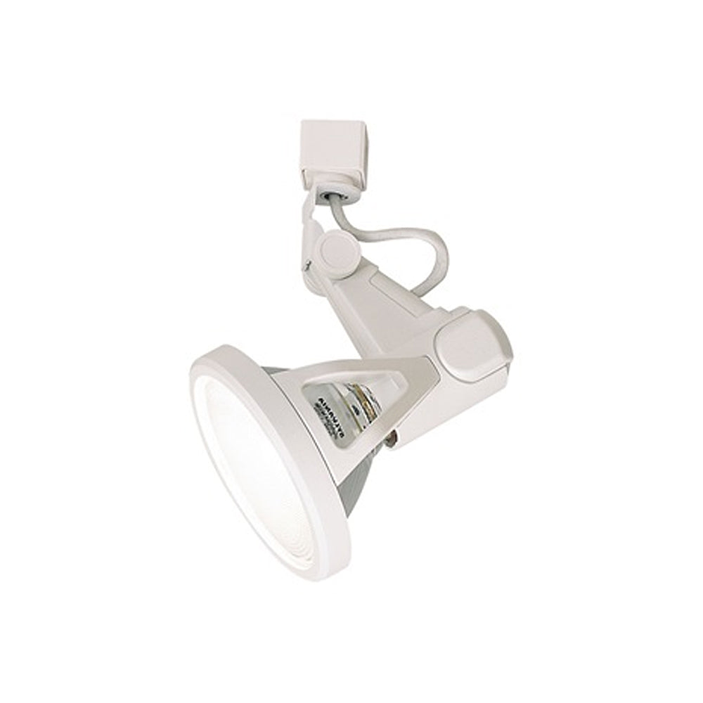 Nora Lighting Belgiumル Die-Cast PAR38 Front Loading Gimbal