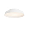 Boop Wall Or Ceiling Light by Carpyen