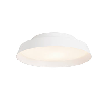 Boop Wall Or Ceiling Light by Carpyen