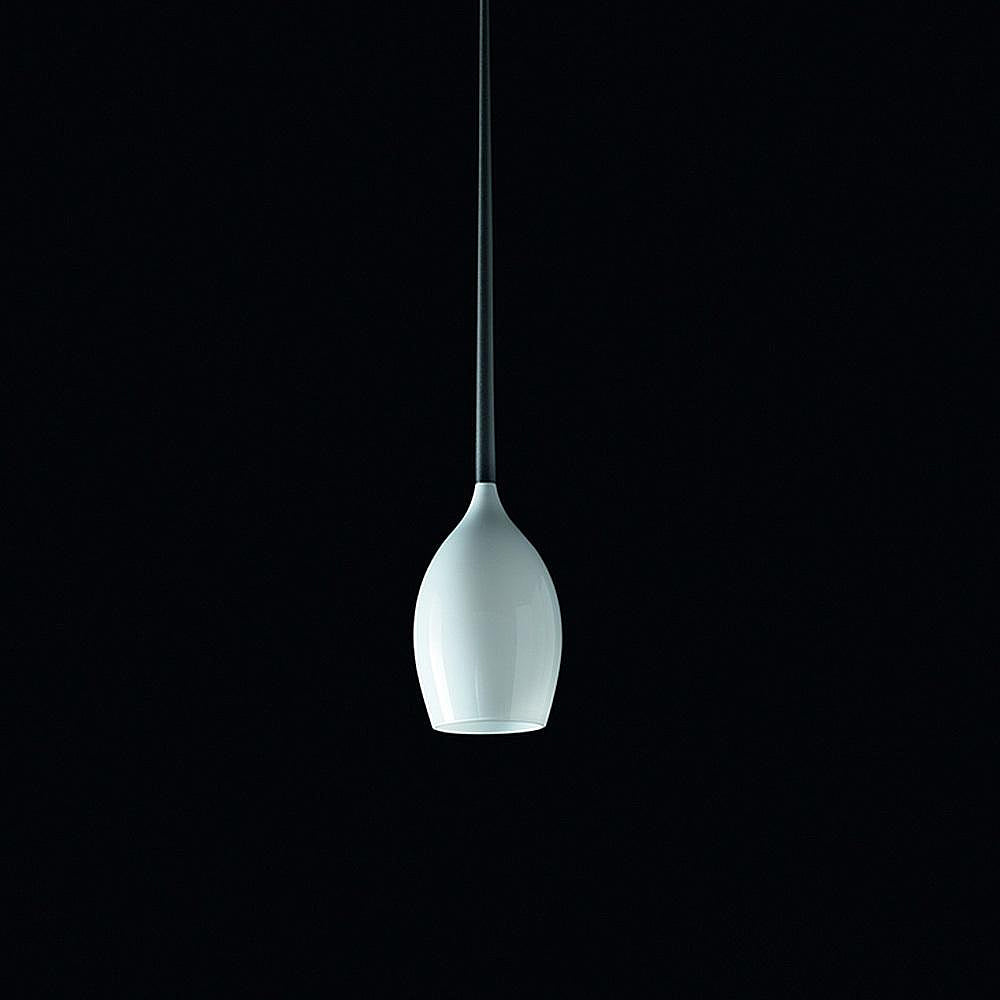 Gout Pendant Light by Karboxx