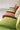 Santa & Cole Ibiza Lounge Chair