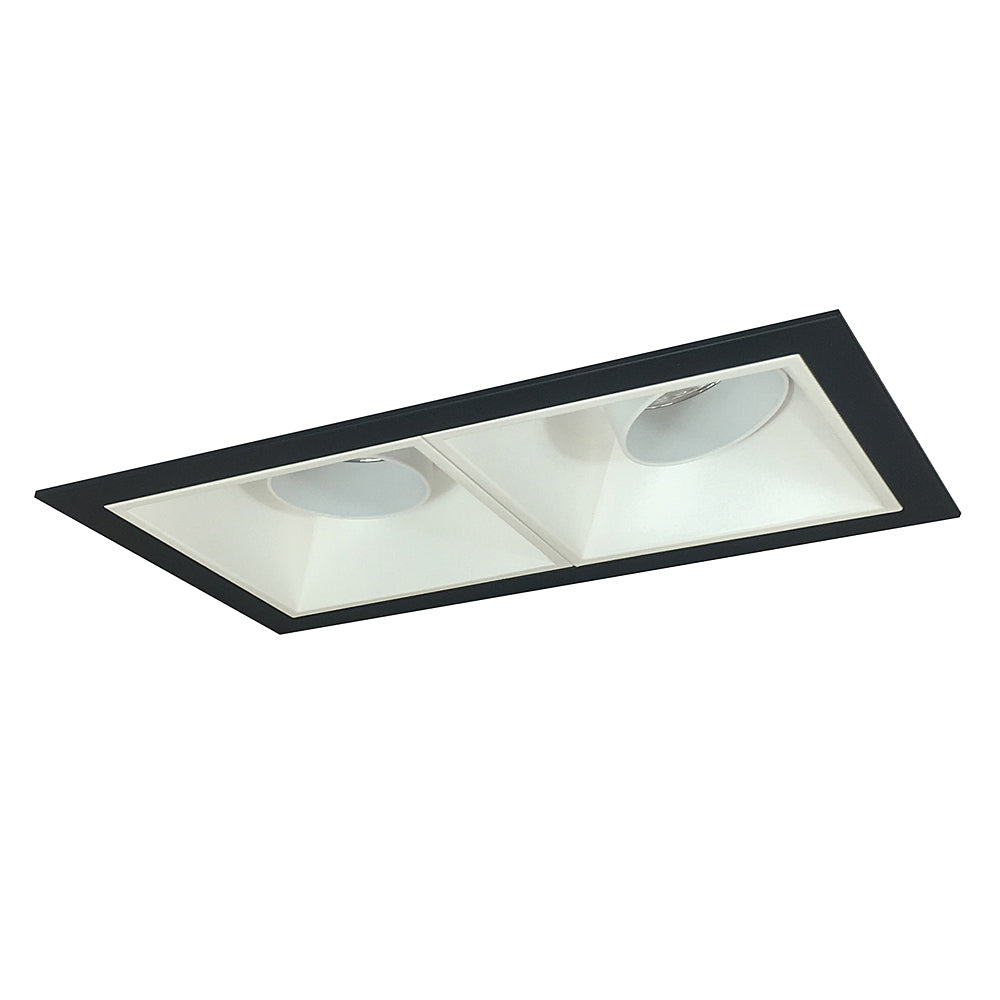 Nora Lighting Iolite MLS Two Head Adjustable Snoot, Flanged