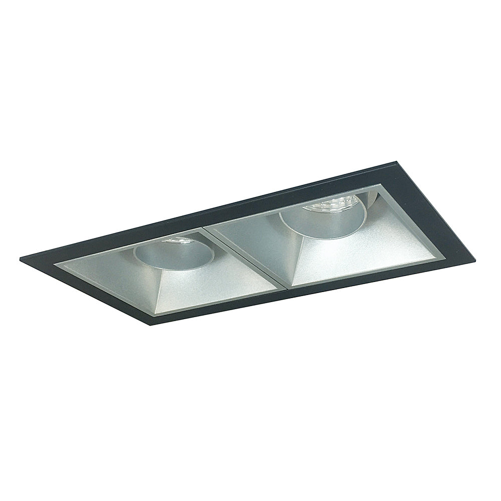 Nora Lighting Iolite MLS Two Head Adjustable Snoot, Flanged