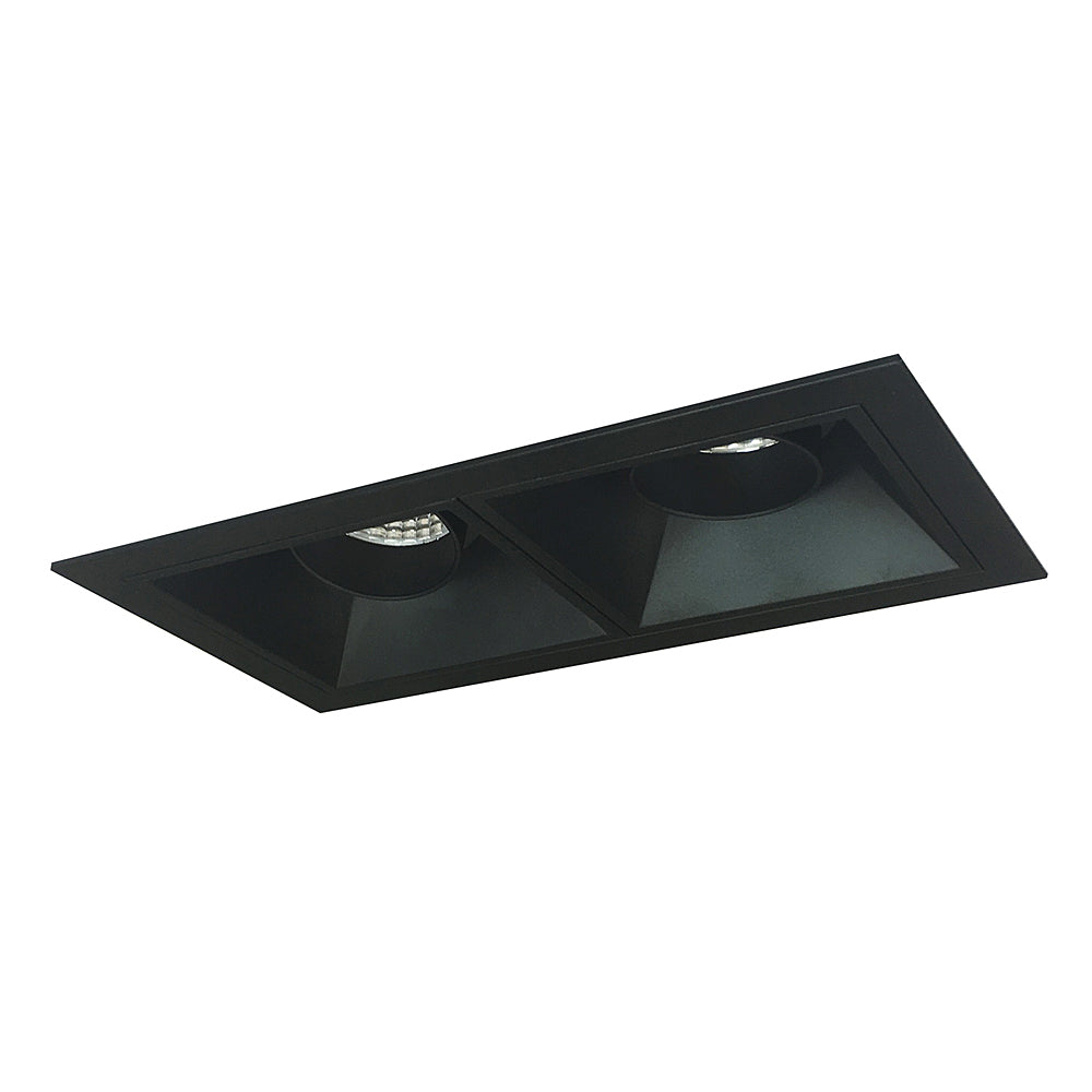 Nora Lighting Iolite MLS Two Head Adjustable Snoot, Flanged