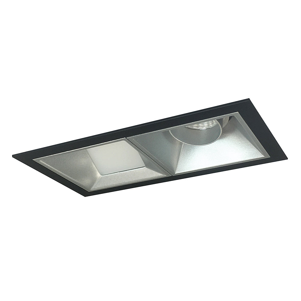 Nora Lighting Iolite MLS Two Head Fixed Downlight / Wall Wash, Flanged