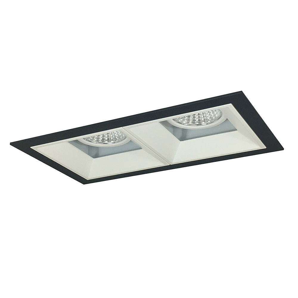 Nora Lighting Iolite MLS Two Head Fixed Downlight / Wall Wash, Flanged