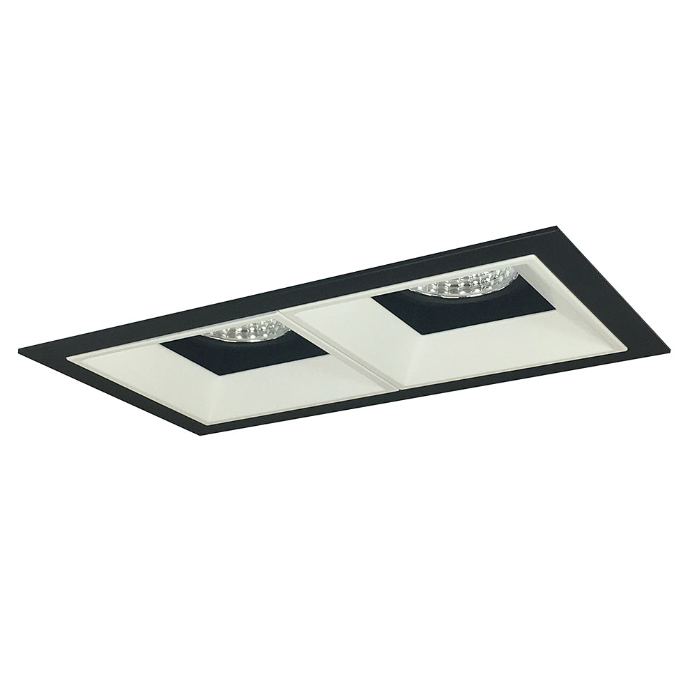 Nora Lighting Iolite MLS Two Head Fixed Downlight / Wall Wash, Flanged
