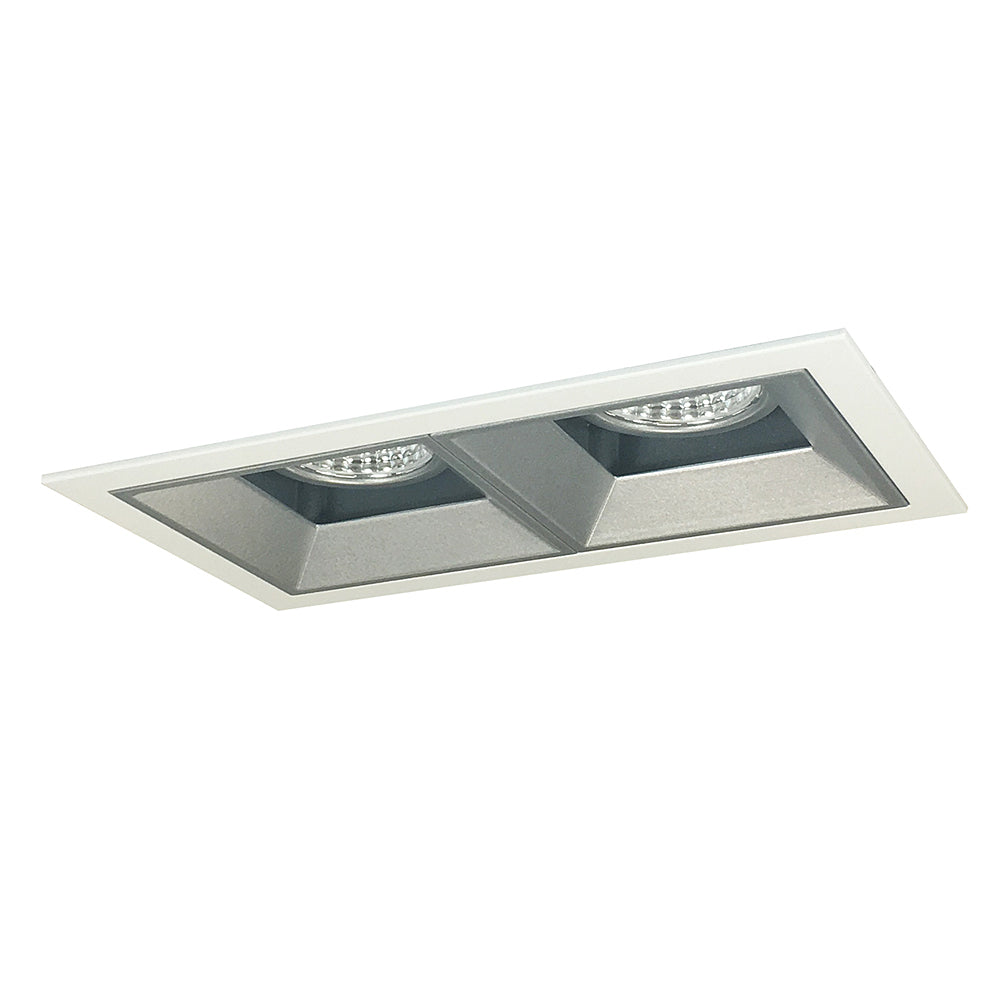 Nora Lighting Iolite MLS Two Head Fixed Downlight / Wall Wash, Flanged