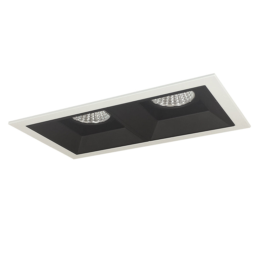 Nora Lighting Iolite MLS Two Head Fixed Downlight / Wall Wash, Flanged