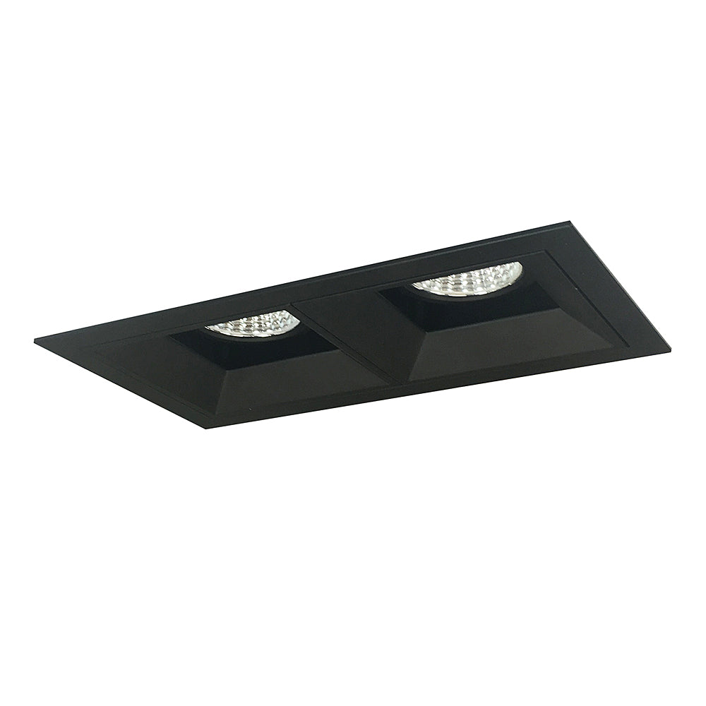 Nora Lighting Iolite MLS Two Head Fixed Downlight / Wall Wash, Flanged