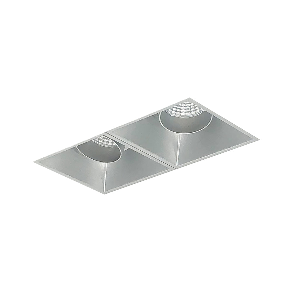 Nora Lighting Iolite MLS Two Head, Trimless / Adjustable Snoot